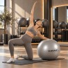 Fitness Ball O'Live Gris